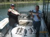 (05/25/2014) - Nice Striped Bass